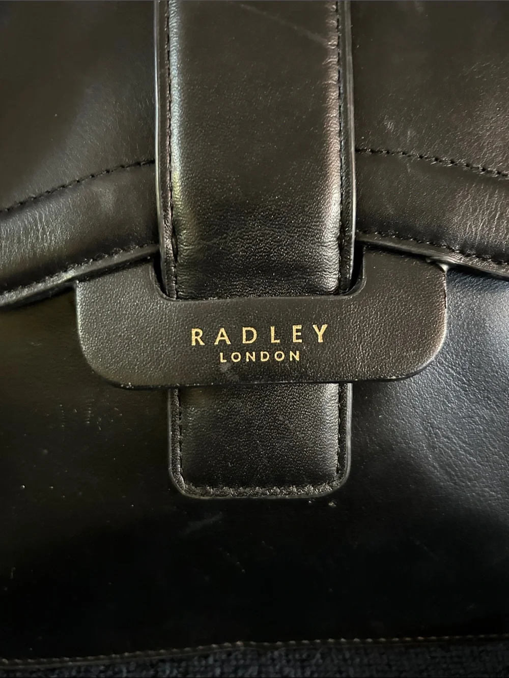 Radley London Leather Crossbody with Dog Charm & Magnetic Closure